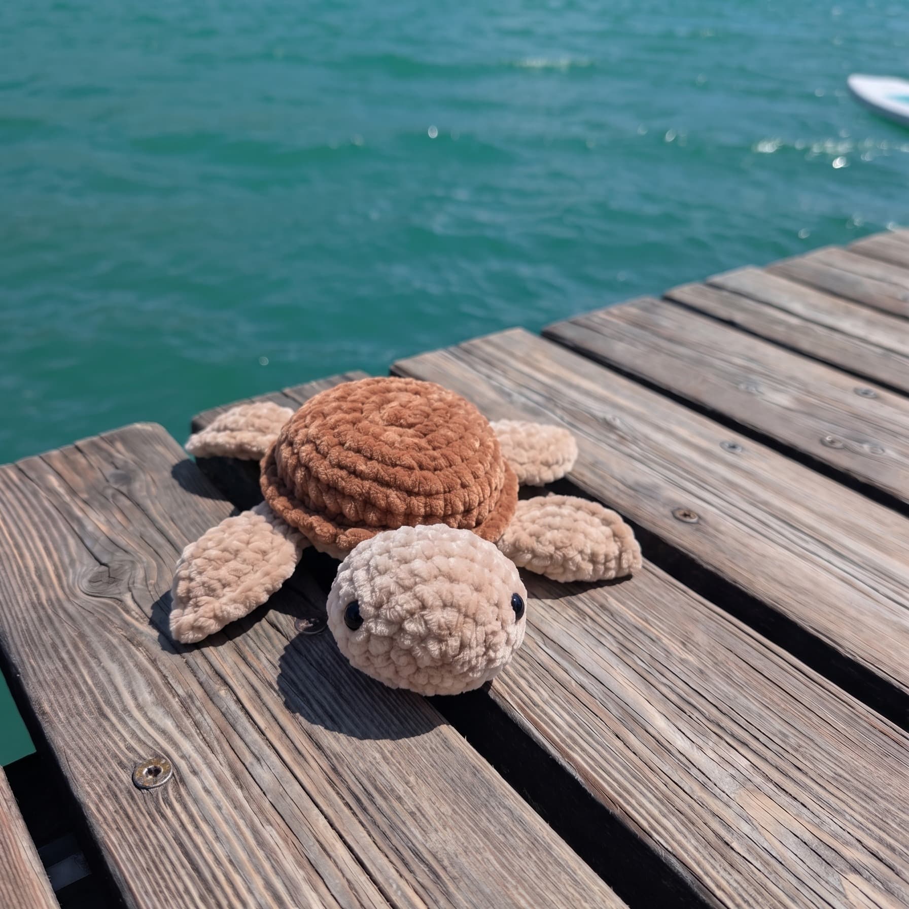 Schildkröte Nalu 3